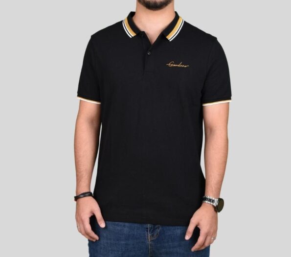 POLO WITH EMBROIDERY