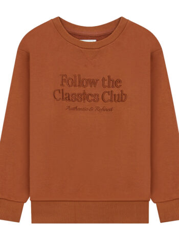 SWEATSHIRT WITH PRINT - BROWN, 110